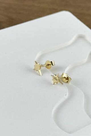 14 Ayar Altın Kuzey Yıldızı Küpe