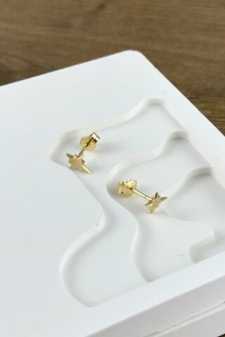 14 Ayar Altın Kuzey Yıldızı Küpe
