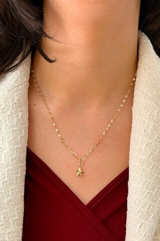 14 Ayar Altın Yıldız Kolye