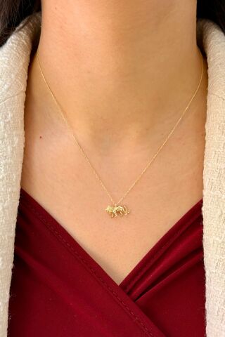 14 Ayar Altın Aslanlı Kolye