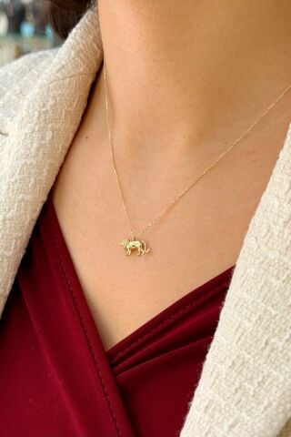 14 Ayar Altın Aslanlı Kolye