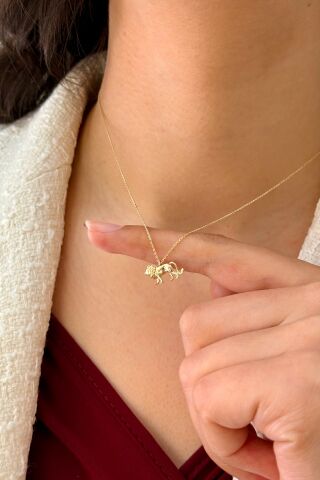 14 Ayar Altın Aslanlı Kolye