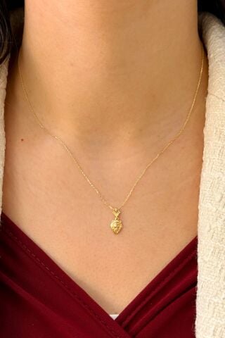 14 Ayar Altın Aslanlı Kolye