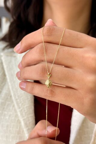 14 Ayar Altın Aslanlı Kolye